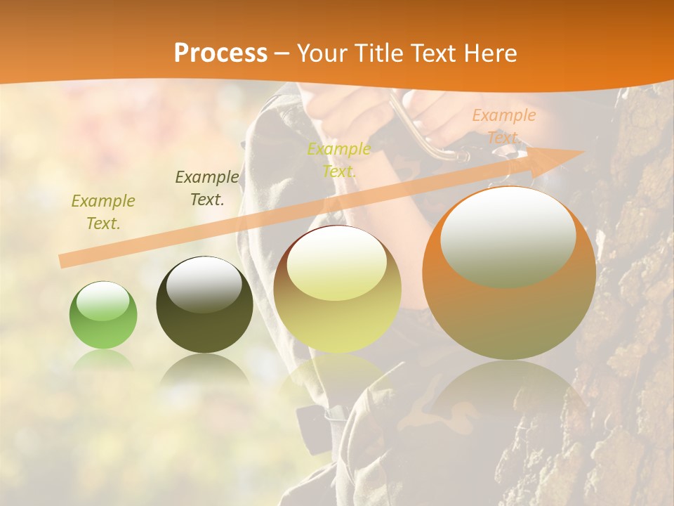 Fire Forest Ball PowerPoint Template