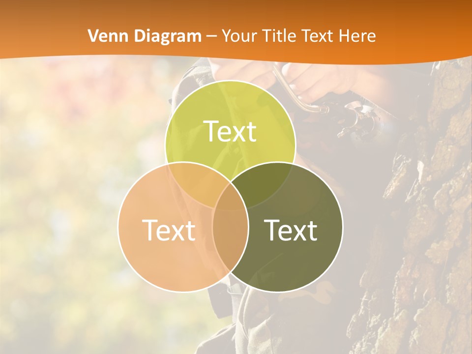 Fire Forest Ball PowerPoint Template