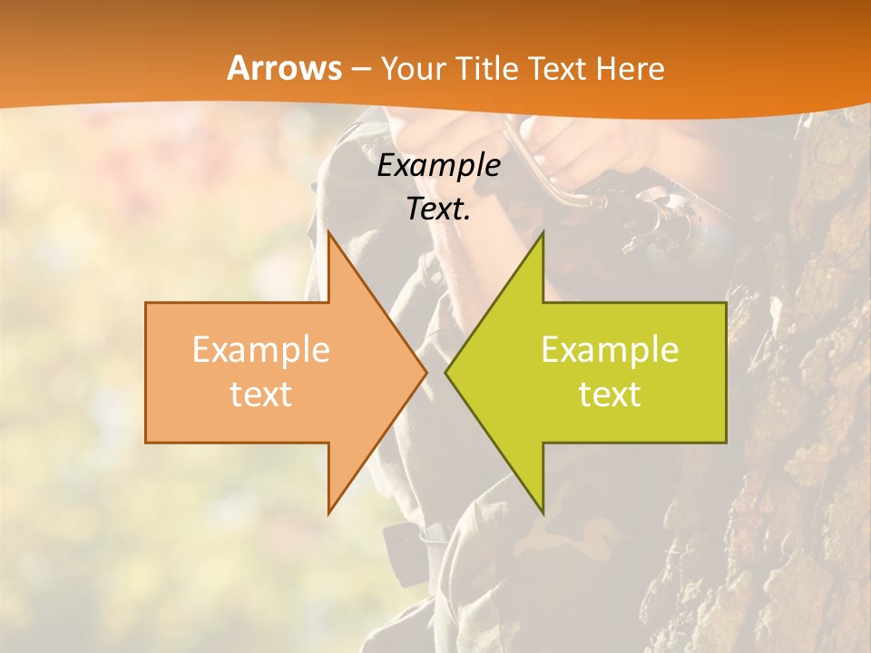 Fire Forest Ball PowerPoint Template