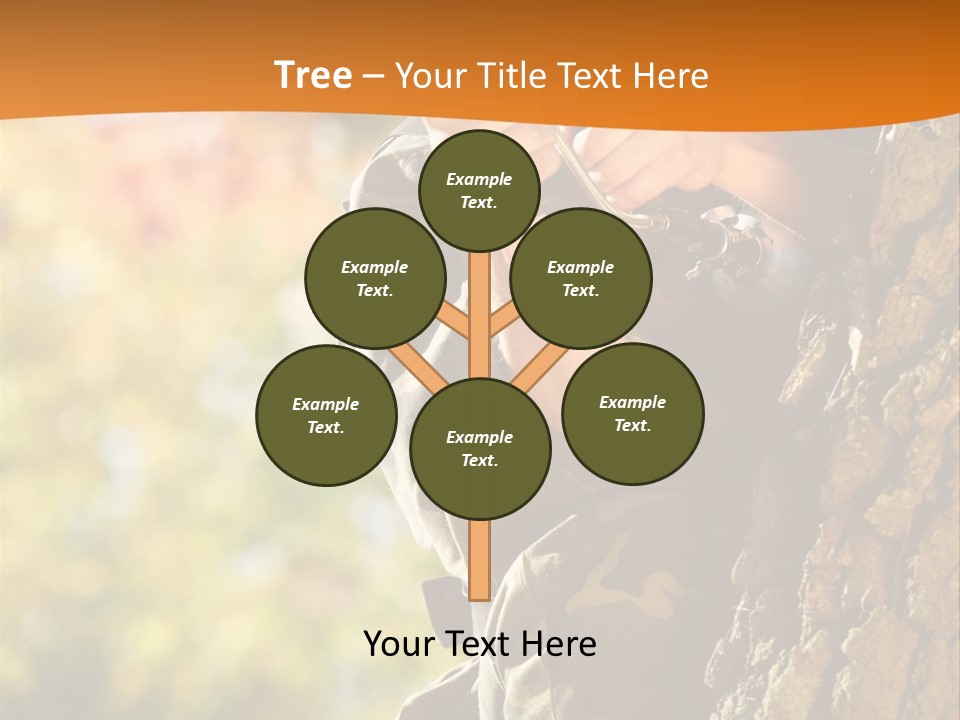 Fire Forest Ball PowerPoint Template