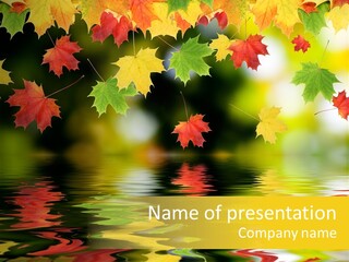 Flora Object Collage PowerPoint Template