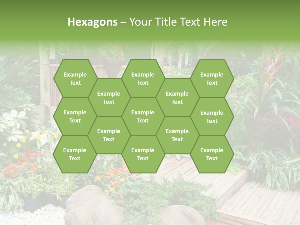 Exterior Tropical Nobody PowerPoint Template