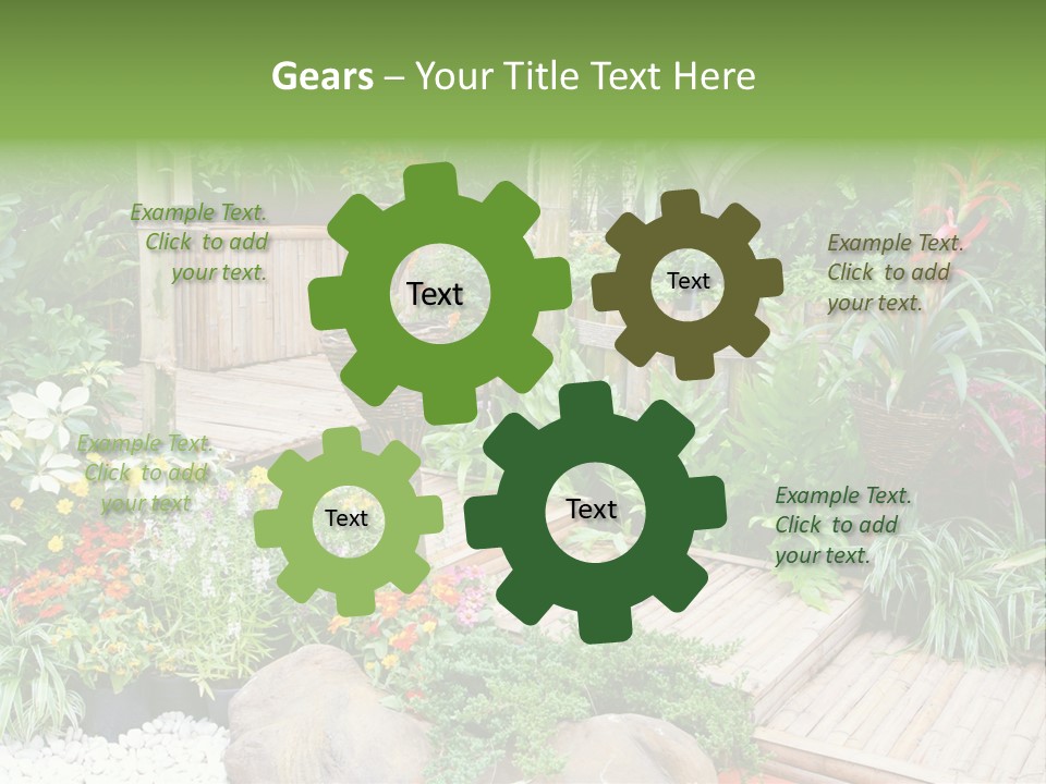 Exterior Tropical Nobody PowerPoint Template