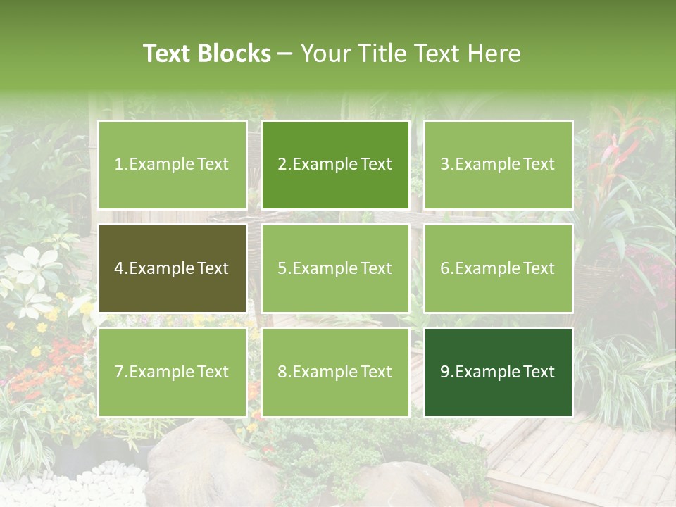 Exterior Tropical Nobody PowerPoint Template