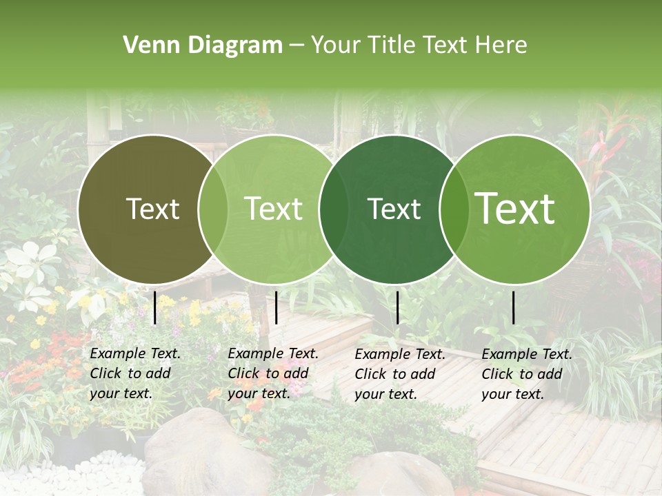 Exterior Tropical Nobody PowerPoint Template