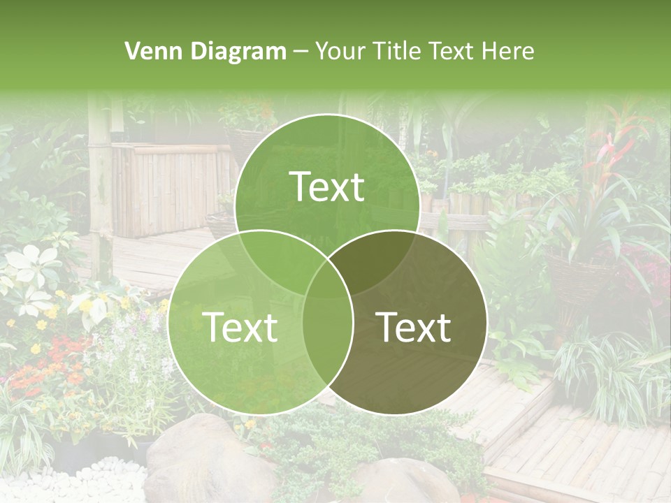 Exterior Tropical Nobody PowerPoint Template