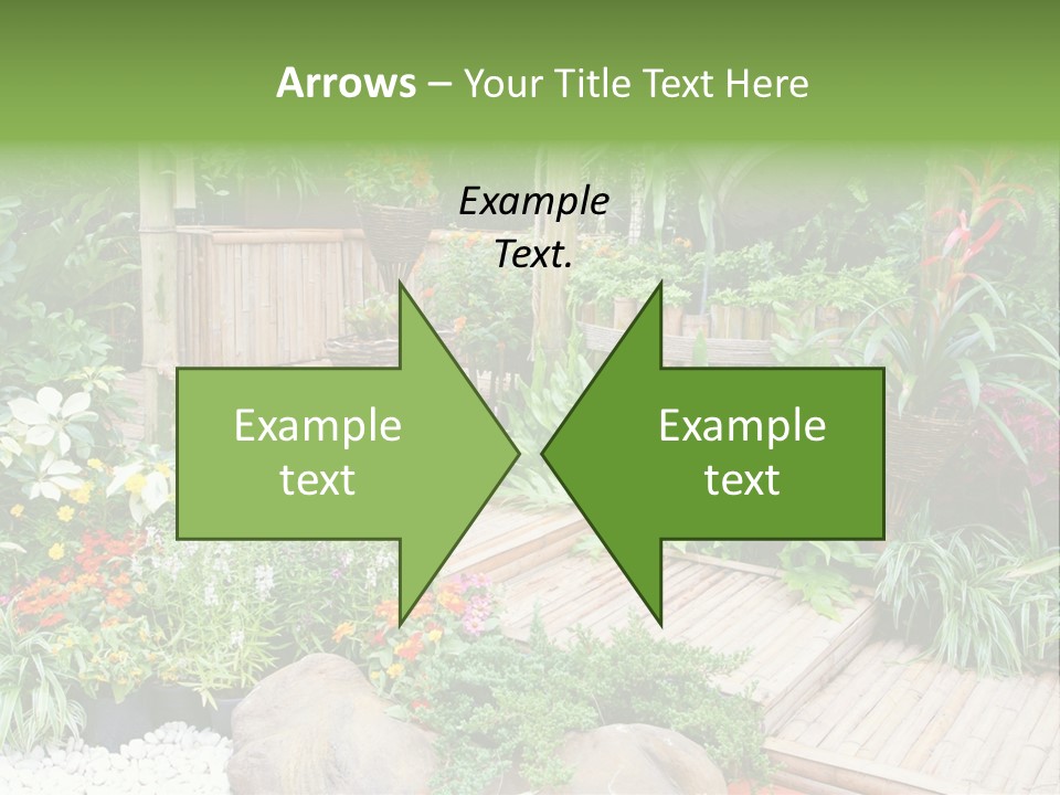 Exterior Tropical Nobody PowerPoint Template