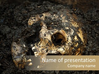 Skeleton Old Soil PowerPoint Template