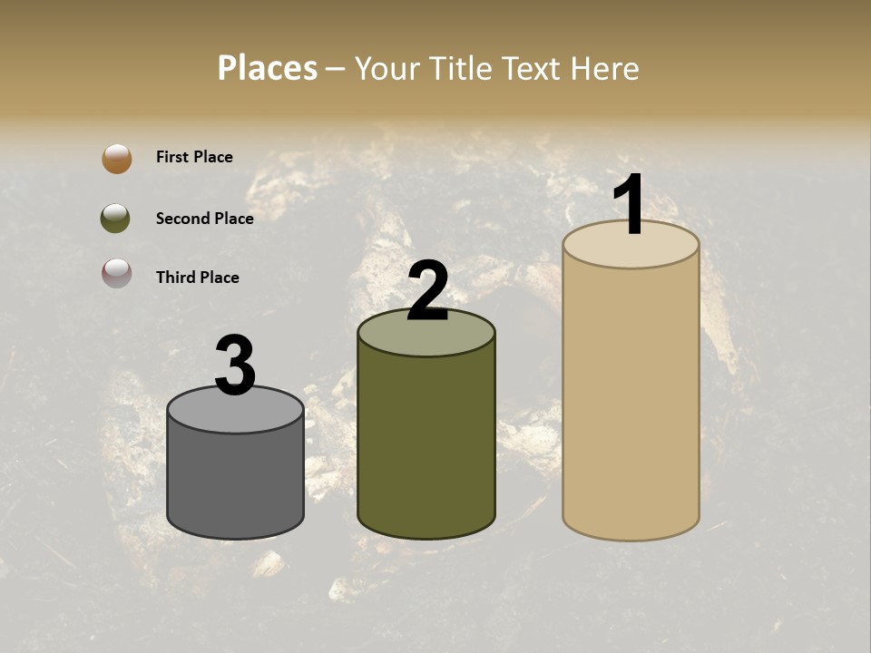 Skeleton Old Soil PowerPoint Template