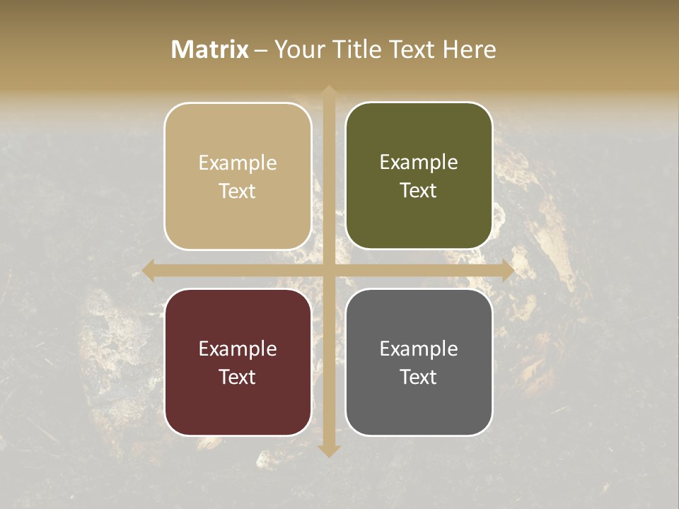 Skeleton Old Soil PowerPoint Template