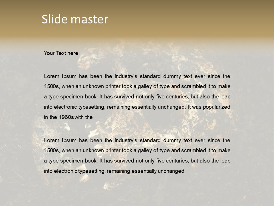 Skeleton Old Soil PowerPoint Template