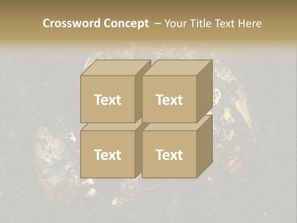Skeleton Old Soil PowerPoint Template