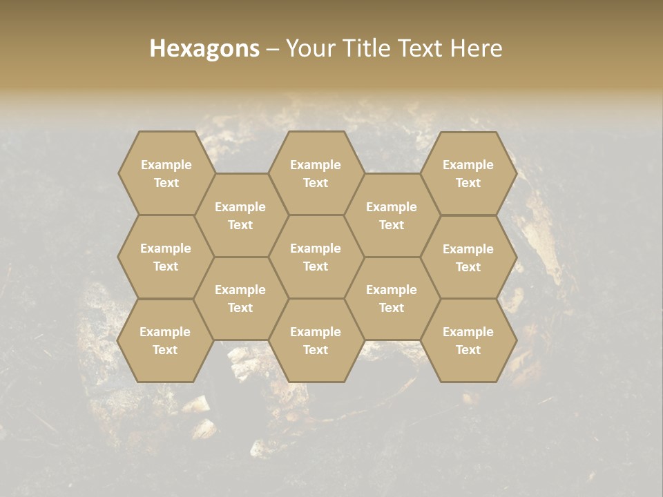 Skeleton Old Soil PowerPoint Template