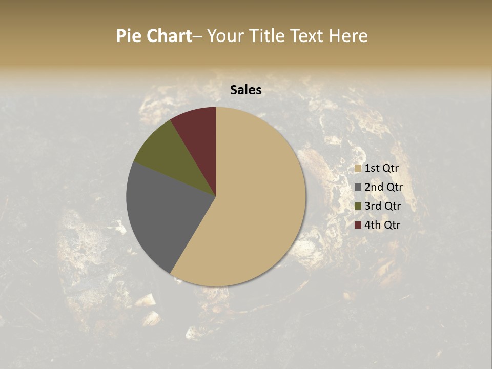 Skeleton Old Soil PowerPoint Template