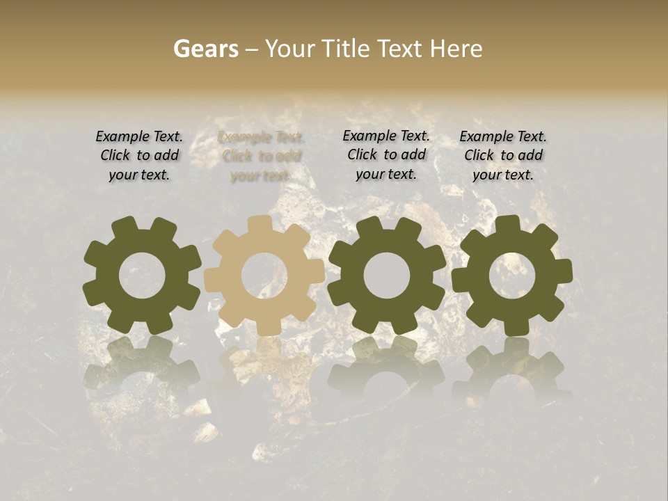 Skeleton Old Soil PowerPoint Template