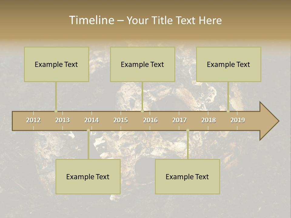 Skeleton Old Soil PowerPoint Template