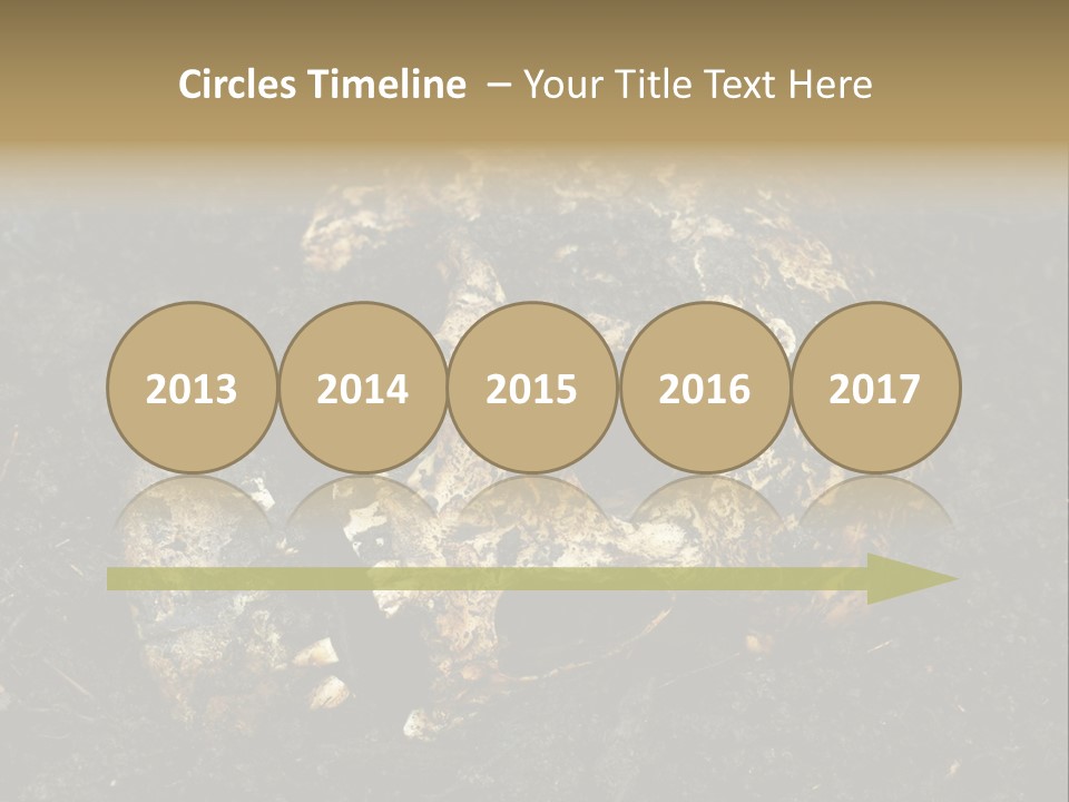 Skeleton Old Soil PowerPoint Template