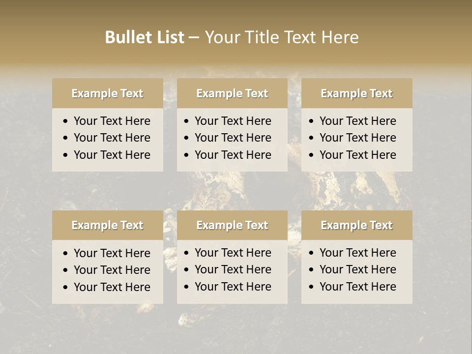 Skeleton Old Soil PowerPoint Template