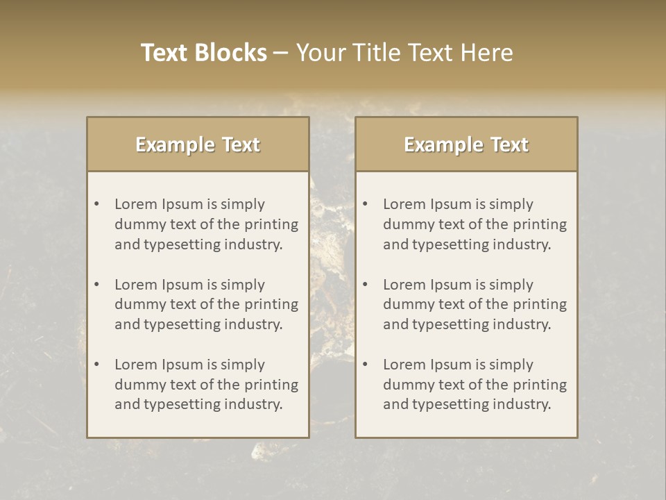 Skeleton Old Soil PowerPoint Template