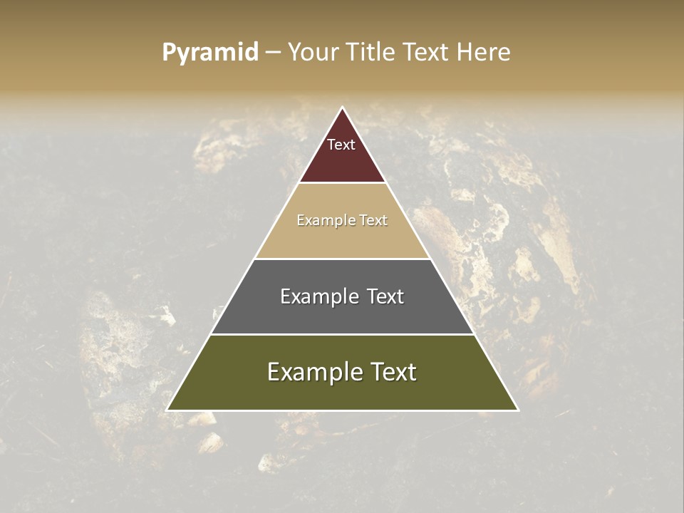 Skeleton Old Soil PowerPoint Template