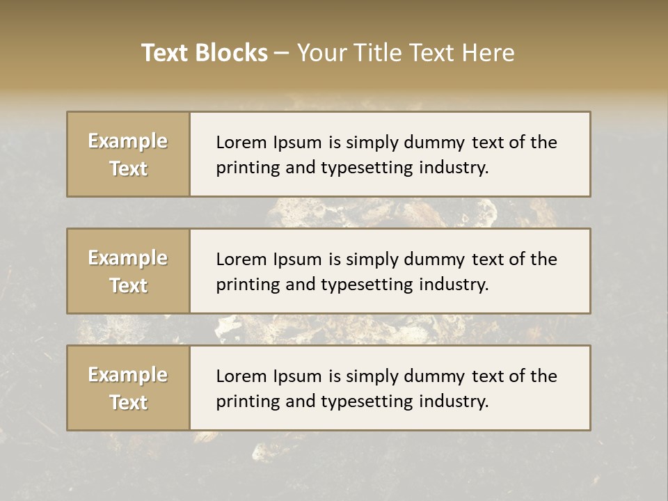 Skeleton Old Soil PowerPoint Template
