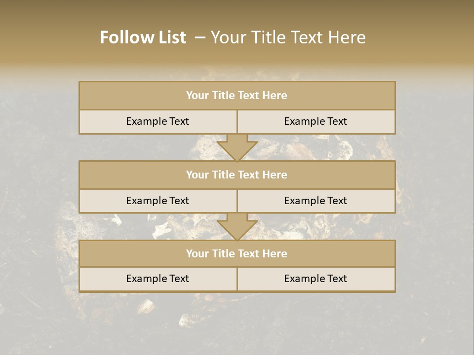 Skeleton Old Soil PowerPoint Template