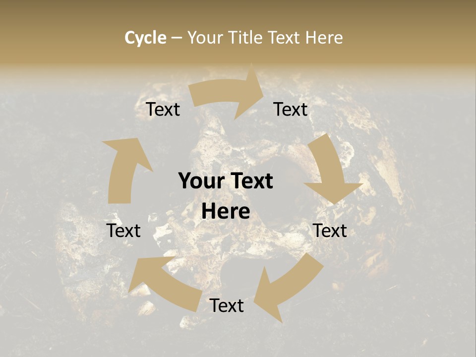 Skeleton Old Soil PowerPoint Template
