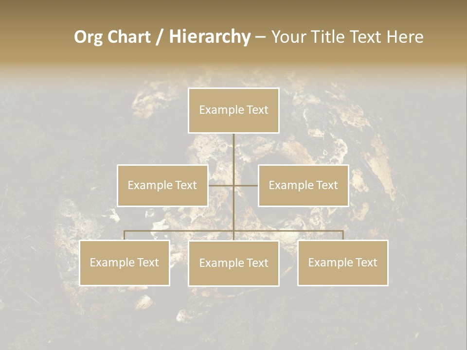 Skeleton Old Soil PowerPoint Template