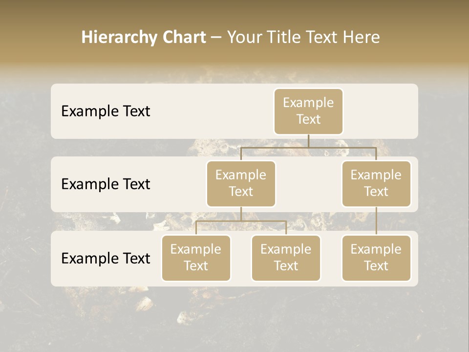 Skeleton Old Soil PowerPoint Template