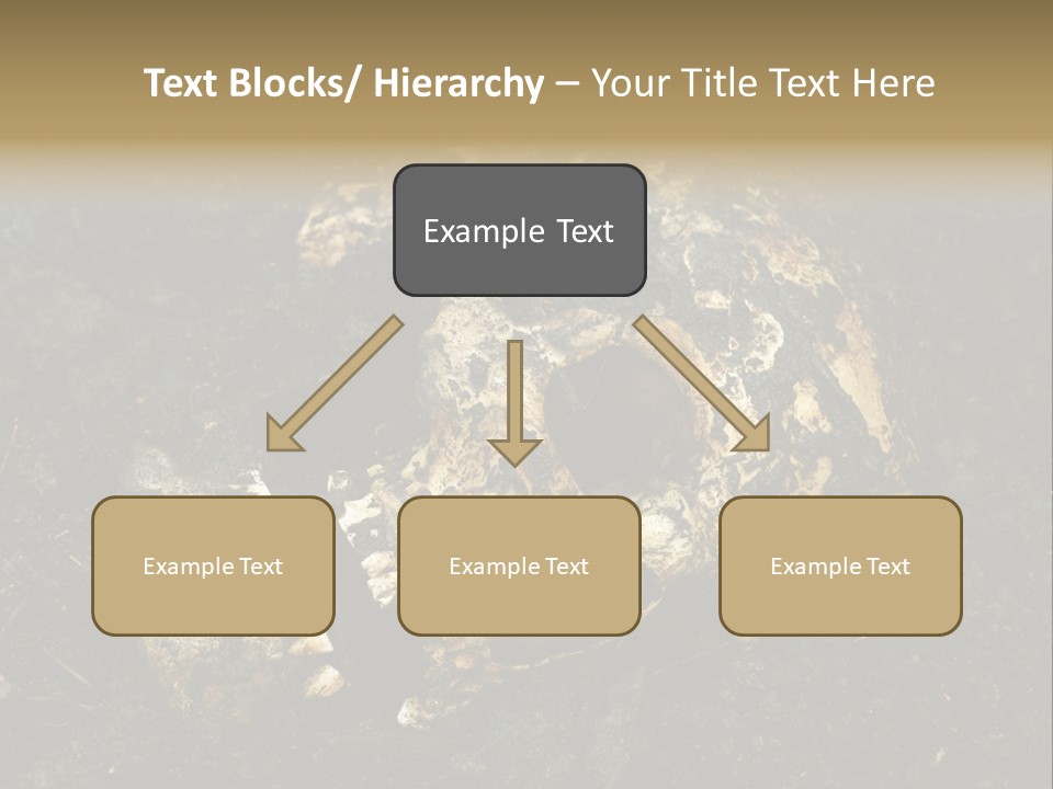 Skeleton Old Soil PowerPoint Template