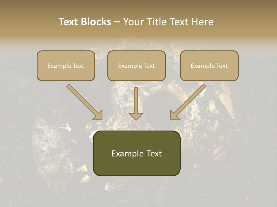 Skeleton Old Soil PowerPoint Template