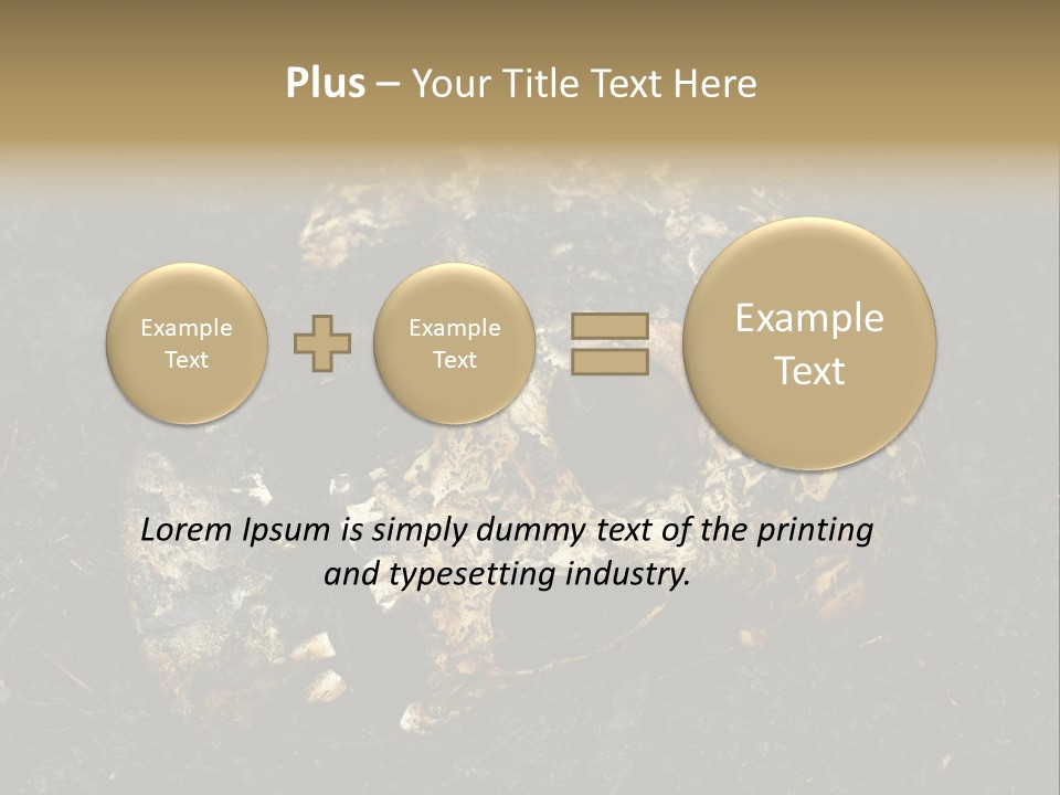 Skeleton Old Soil PowerPoint Template