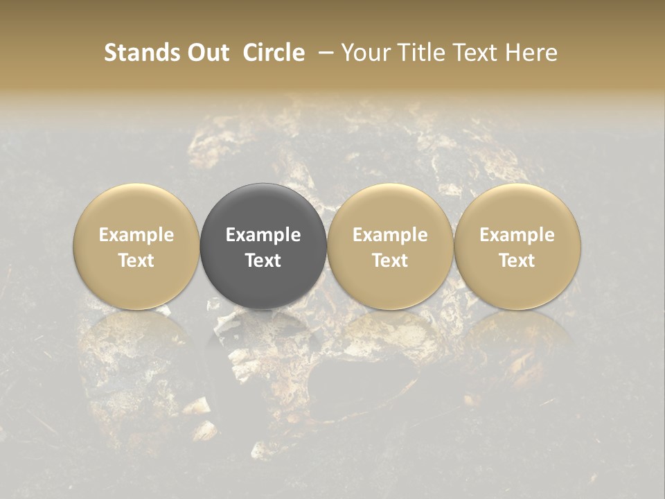 Skeleton Old Soil PowerPoint Template