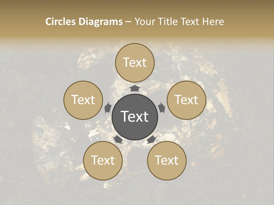 Skeleton Old Soil PowerPoint Template