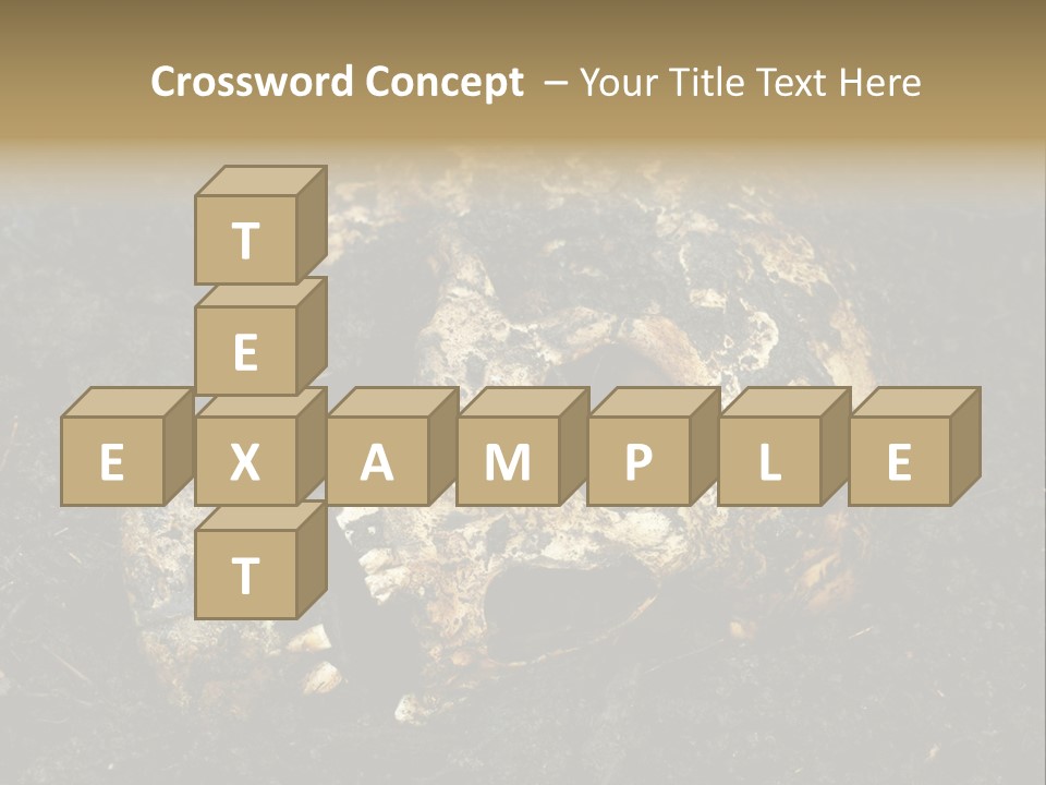 Skeleton Old Soil PowerPoint Template