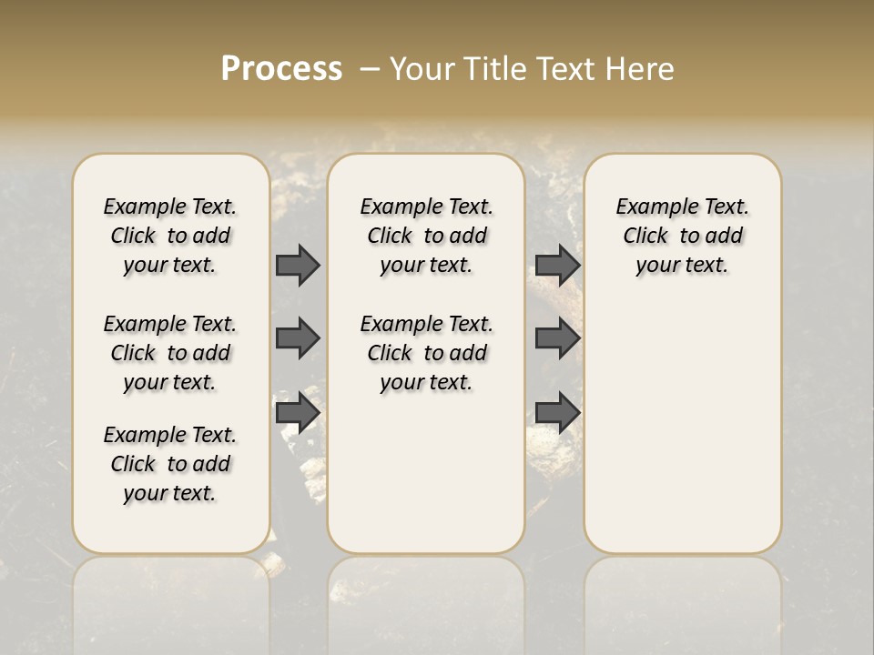 Skeleton Old Soil PowerPoint Template