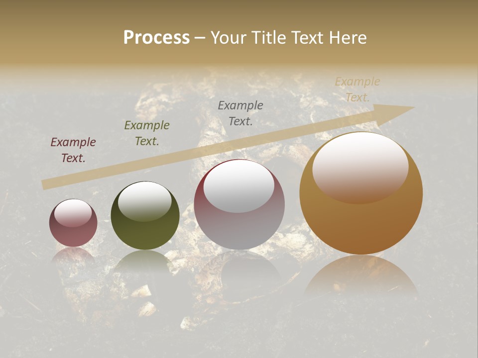 Skeleton Old Soil PowerPoint Template