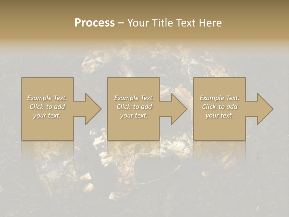 Skeleton Old Soil PowerPoint Template