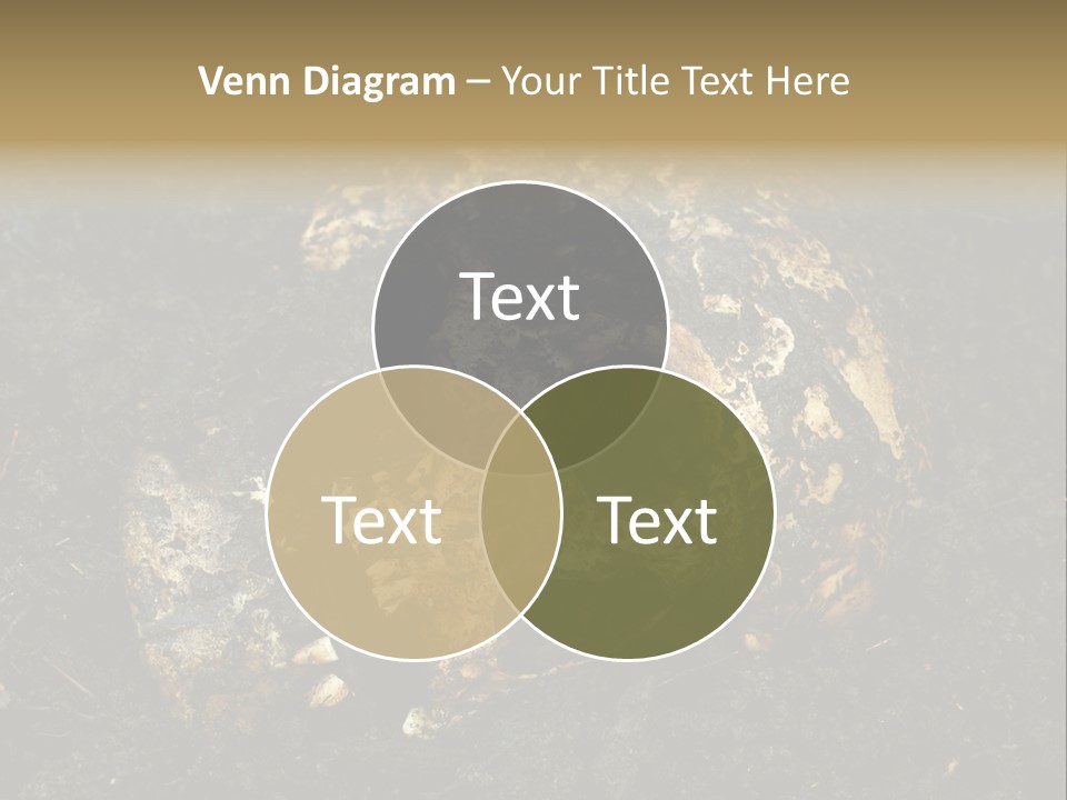Skeleton Old Soil PowerPoint Template