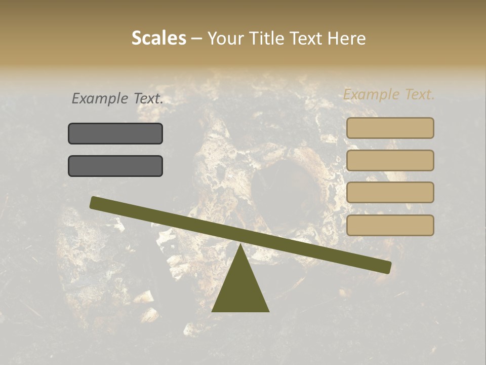Skeleton Old Soil PowerPoint Template