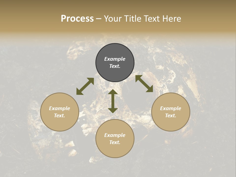 Skeleton Old Soil PowerPoint Template