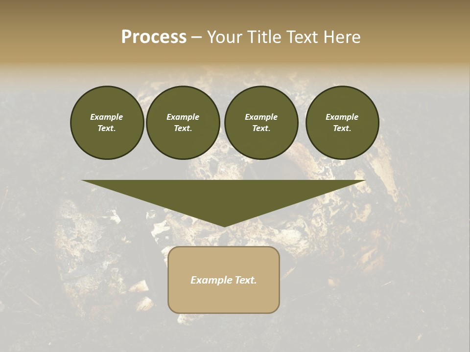 Skeleton Old Soil PowerPoint Template