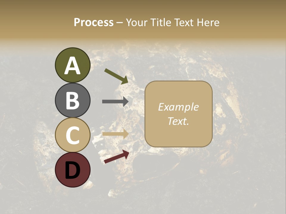 Skeleton Old Soil PowerPoint Template