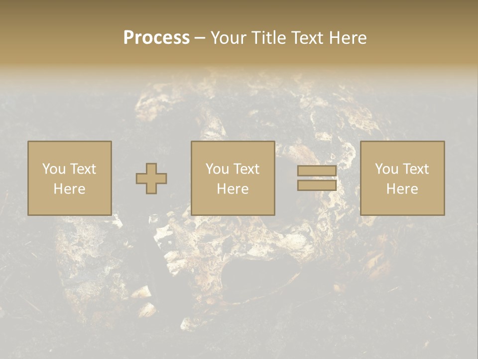 Skeleton Old Soil PowerPoint Template