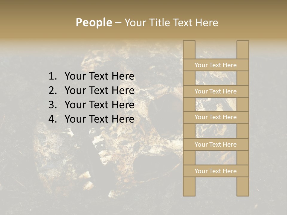 Skeleton Old Soil PowerPoint Template
