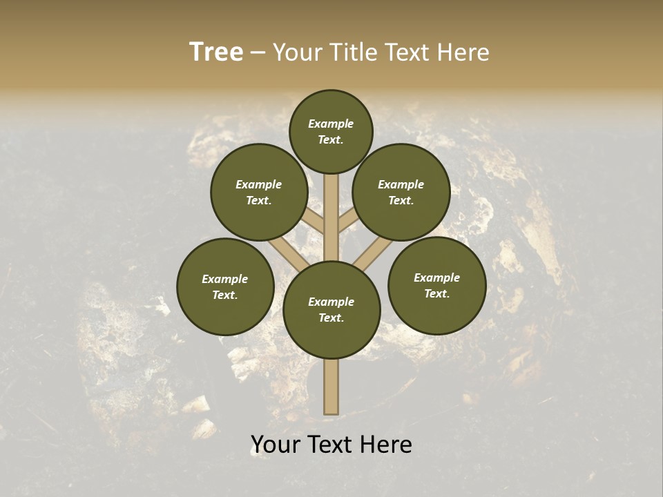 Skeleton Old Soil PowerPoint Template