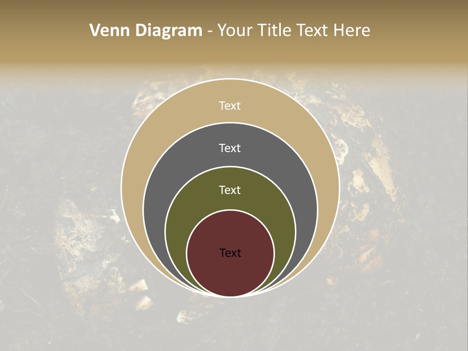 Skeleton Old Soil PowerPoint Template