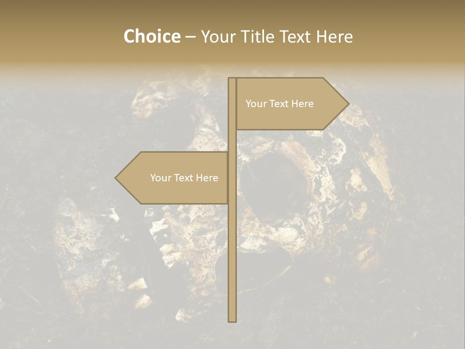 Skeleton Old Soil PowerPoint Template