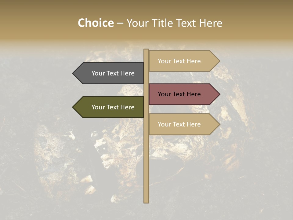Skeleton Old Soil PowerPoint Template