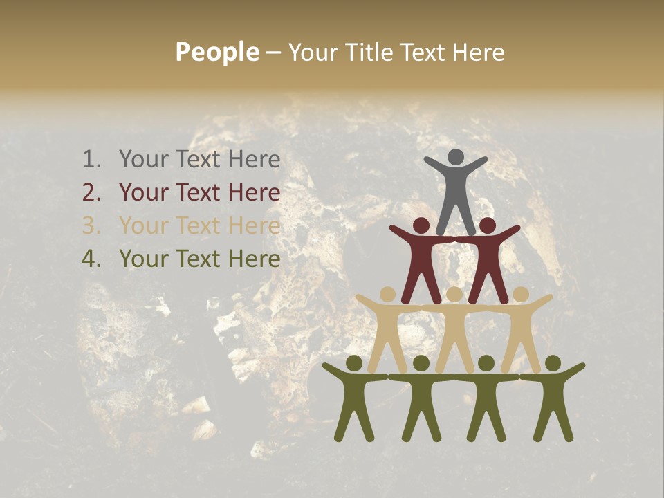 Skeleton Old Soil PowerPoint Template